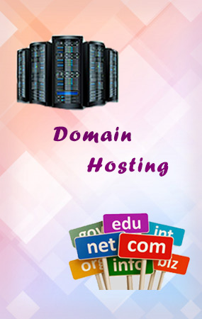 domain hosting guduvanchery