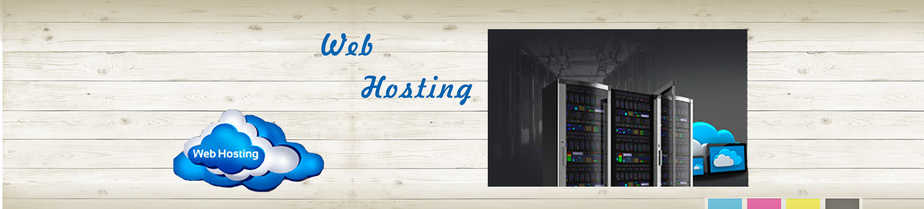 web hosting guduvanchery